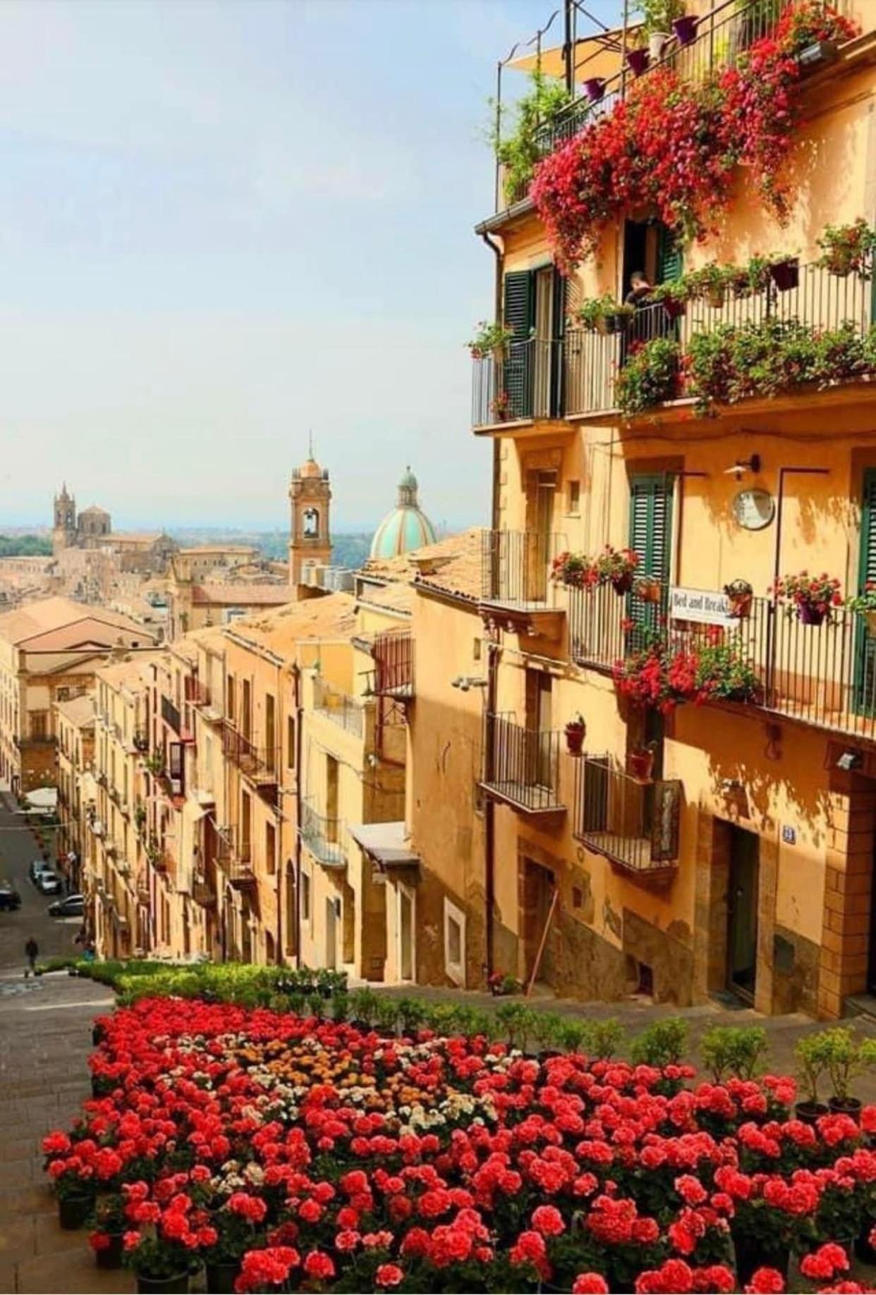 Casa Tipica Siciliana Patronale Home Bedandbreakfast Tremetrisoprailcielo Camere Con Vista, Colazione Interna In Terrazzo Panoramico Caltagirone Exteriör bild