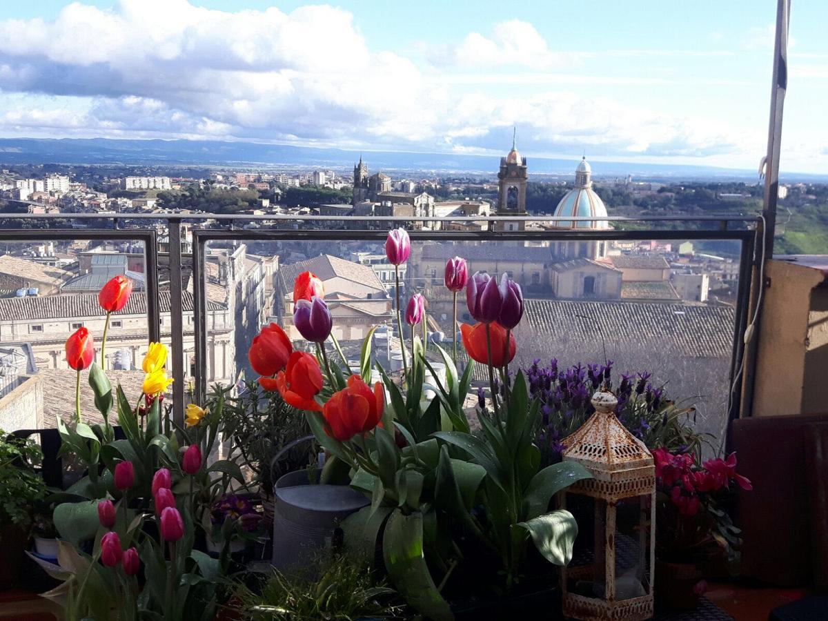 Casa Tipica Siciliana Patronale Home Bedandbreakfast Tremetrisoprailcielo Camere Con Vista, Colazione Interna In Terrazzo Panoramico Caltagirone Exteriör bild