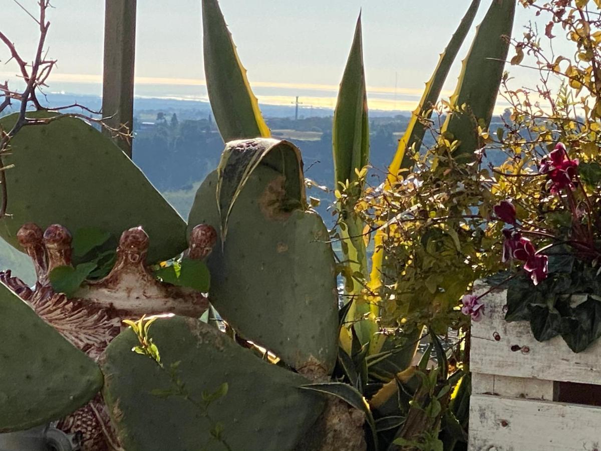 Casa Tipica Siciliana Patronale Home Bedandbreakfast Tremetrisoprailcielo Camere Con Vista, Colazione Interna In Terrazzo Panoramico Caltagirone Exteriör bild